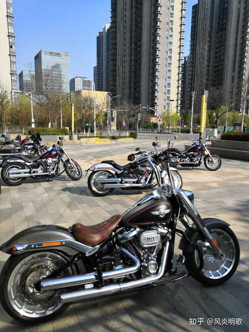 哈雷车,百年传奇,自由精神的象征(图3) 哈雷车,百年传奇,自由精神的象征(图3)