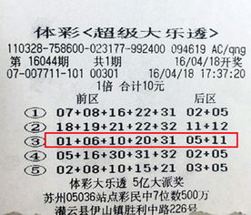 体彩大乐透,揭秘中奖奥秘，解析玩法规则与奖金详情(图3)